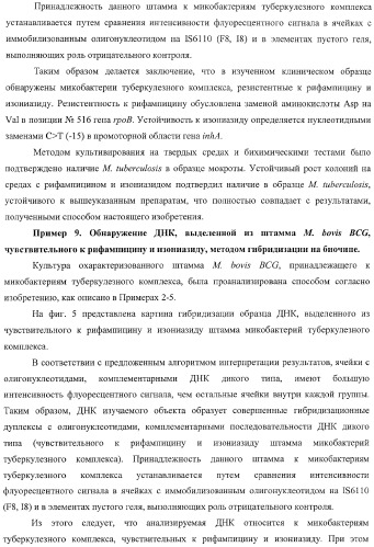 Способ одновременного обнаружения микобактерий туберкулезного комплекса и идентификации мутаций в днк микобактерий, приводящих к устойчивости микроорганизмов к рифампицину и изониазиду, на биологических микрочипах, набор праймеров, биочип и набор олигонуклеотидных зондов, используемые в способе (патент 2376387)