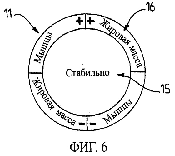 Прибор для измерения состава тела (патент 2394483)