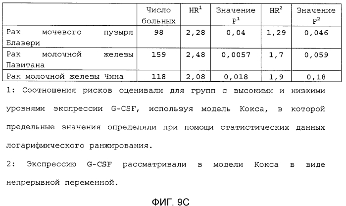 Ингибирование метастазирования опухоли при помощи антагонистов bv8 или g-csf (патент 2567803)