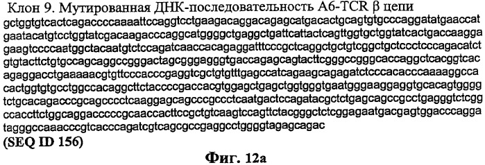 Экспонирование т-клеточных рецепторов (патент 2346004)