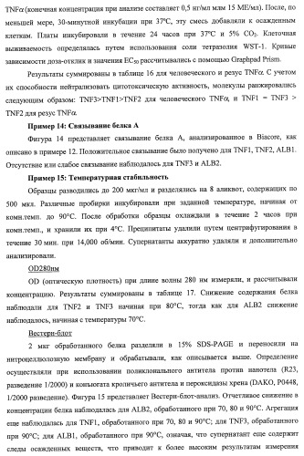 Улучшенные нанотела против фактора некроза опухоли-альфа (патент 2464276)
