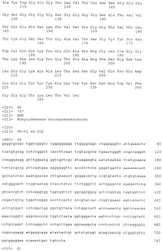 Pscaxcd3, cd19xcd3, c-metxcd3, эндосиалинxcd3, epcamxcd3, igf-1rxcd3 или fap-альфаxcd3 биспецифическое одноцепочечное антитело с межвидовой специфичностью (патент 2547600)