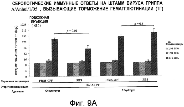 Вирусоподобные частицы, содержащие белки-мишени, слитые с белками оболочки растительных вирусов (патент 2571223)