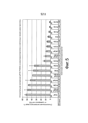 Фосфодиэстераза 9а в качестве маркера злокачественной опухоли предстательной железы (патент 2592668)