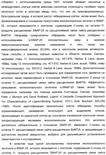 Иммунологические анализы активности ботулинического токсина серотипа а (патент 2491293)