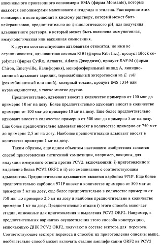 Поливалентные иммуногенные композиции pcv2 и способы получения таких композиций (патент 2488407)