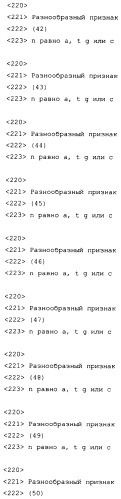 Слитые белки альбумина (патент 2369404)