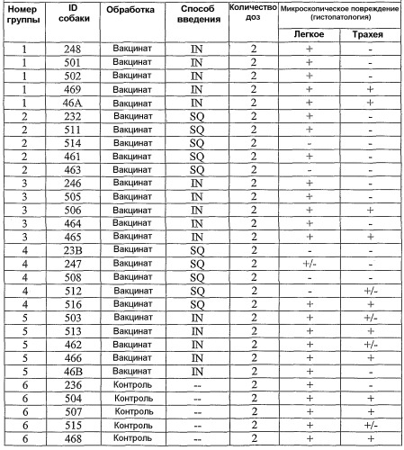 Вирус гриппа, способный инфицировать собачьих, и его применение (патент 2520081)