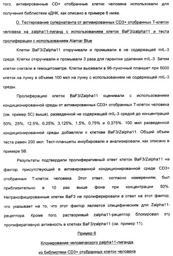 Выделенный полипептид, связывающий рецептор zalpha11-лиганда (варианты), кодирующий его полинуклеотид (варианты), вектор экспрессии (варианты) и клетка-хозяин (варианты) (патент 2346951)