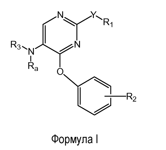 Феноксизамещенные пиримидины для использования в качестве модуляторов опиоидных рецепторов (патент 2554870)