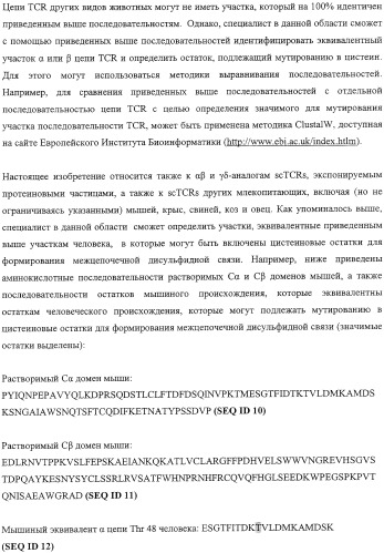 Экспонирование т-клеточных рецепторов (патент 2346004)