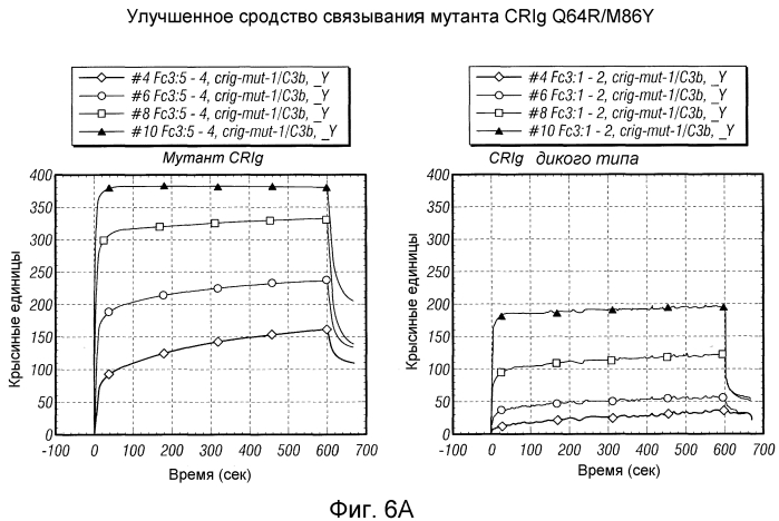 Варианты crig с созревшей аффинностью (патент 2553517)
