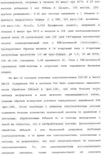 Композиции, содержащие cpg-олигонуклеотиды и вирусоподобные частицы, для применения в качестве адъювантов (патент 2322257)