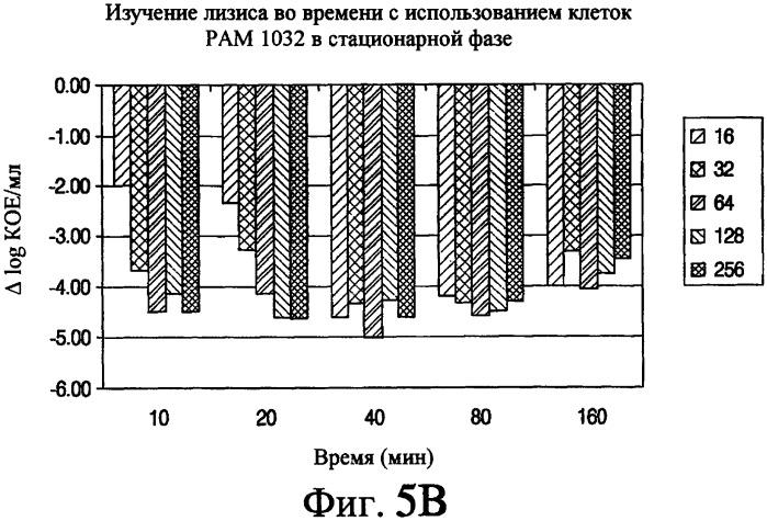 Аэрозольные фторхинолоны и их применения (патент 2428986)