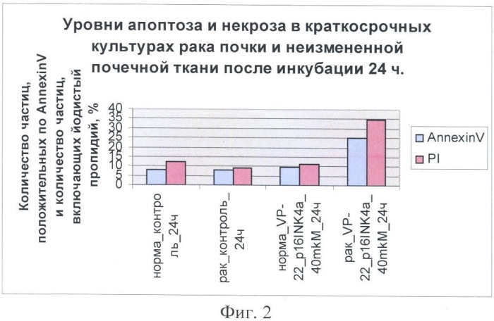 Химерный пептид для лечения эпителиальных и мезенхимальных злокачественных новообразований (патент 2369402)