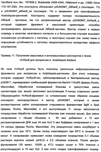 Новые последовательности нуклеиновых кислот и их применение в способах достижения устойчивости к патогенам в растениях (патент 2346985)