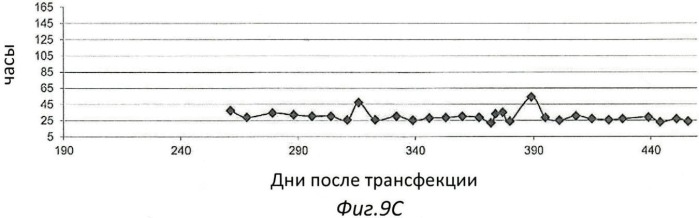 Иммортализованная клеточная линия птиц (патент 2475536)