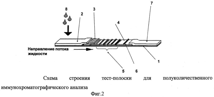 Тест-система для полуколичественного иммунохроматографического анализа (патент 2510510)