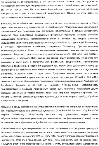 Улучшенная трансформация сои (патент 2389797)
