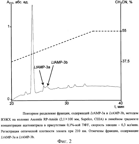 Пептиды латарцины, проявляющие антимикробную активность (патент 2302466)