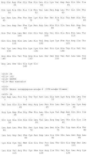Слитый белок, обладающий биологической активностью интерферона-альфа, димерный слитый белок, фармацевтическая композиция, их содержащая, молекула днк (варианты) и способ адресования интерферона-альфа в ткани печени (патент 2262510)