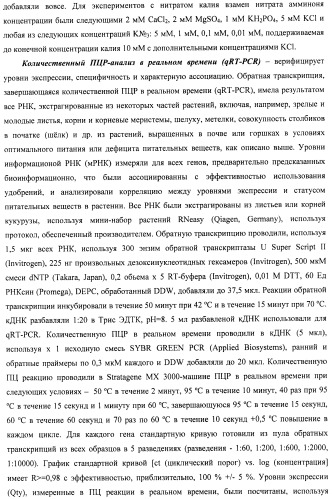 Изолированные полипептиды, кодирующие их полинуклеотиды, экспрессирующие их трансгенные растения и способы их использования (патент 2487166)