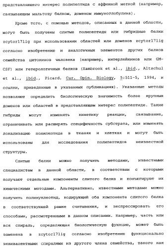 Новый лиганд рецептора цитокина zcytor17 (патент 2360923)