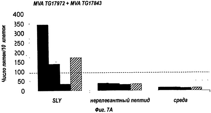 Композиция для лечения инфекции вирусом гепатита в (патент 2555346)