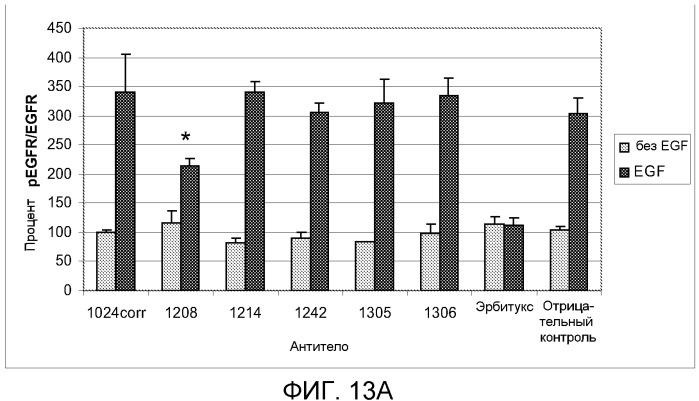 Композиции рекомбинантных антител против рецептора эпидермального фактора роста (патент 2540146)