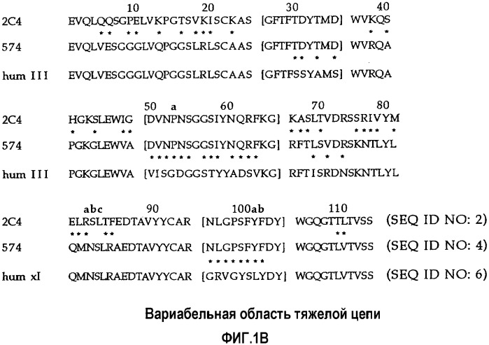 Способы идентификации опухолей, восприимчивых к лечению антителами против erbb2 (патент 2338751)