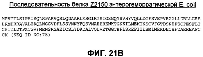 Бактериальные факторы вирулентности и варианты их применения (патент 2465331)