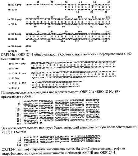 Антигены neisseria meningitidis (патент 2343159)