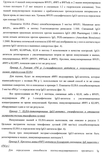 Гипоаллергенный слитый белок, молекула нуклеиновой кислоты, кодирующая его, вектор экспрессии, клетка-хозяин, вакцинная композиция и его применение (патент 2486206)