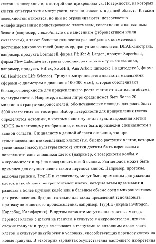 Линии клеток почки собаки майдин-дэрби (mdck), поддерживающие рост вирусов до высоких титров, и способ применения этих клеток в биореакторе (патент 2487935)