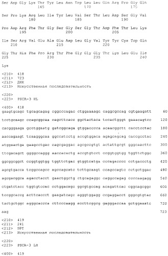 Pscaxcd3, cd19xcd3, c-metxcd3, эндосиалинxcd3, epcamxcd3, igf-1rxcd3 или fap-альфаxcd3 биспецифическое одноцепочечное антитело с межвидовой специфичностью (патент 2547600)