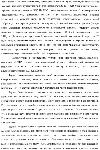 Идентификация варианта днк, связанного с гиполактазией взрослого типа (патент 2391404)