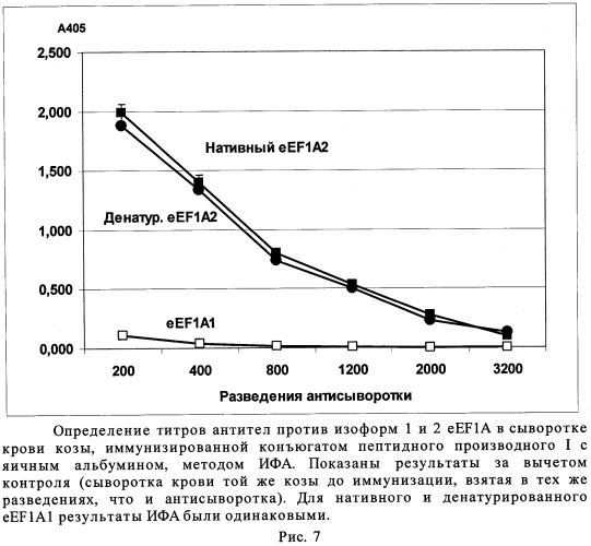 Синтетический пептид для получения моноспецифичных антител против изоформы 2 эукариотического фактора элонгации трансляции 1а (патент 2562880)