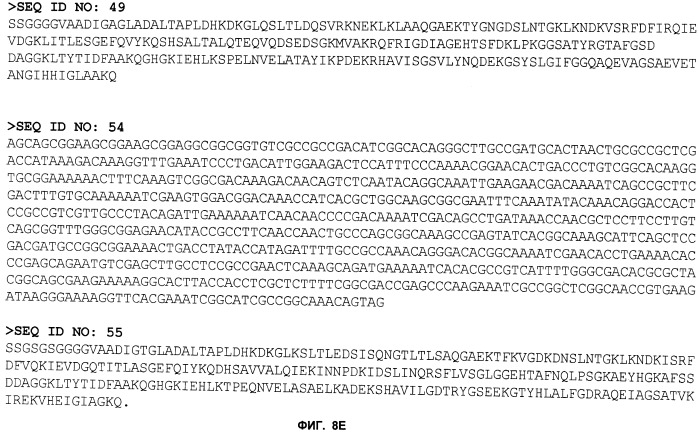 Нелипидизированные варианты антигенов neisseria meningitidis orf2086 (патент 2546873)