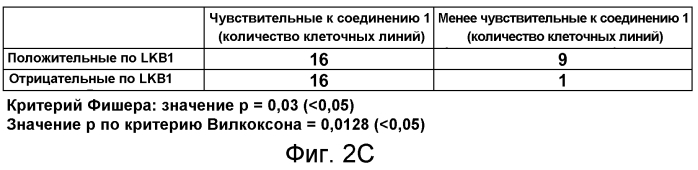 Идентификация мутации lkb1 в качестве прогностического биомаркера чувствительности к ингибиторам tor-киназы (патент 2565034)