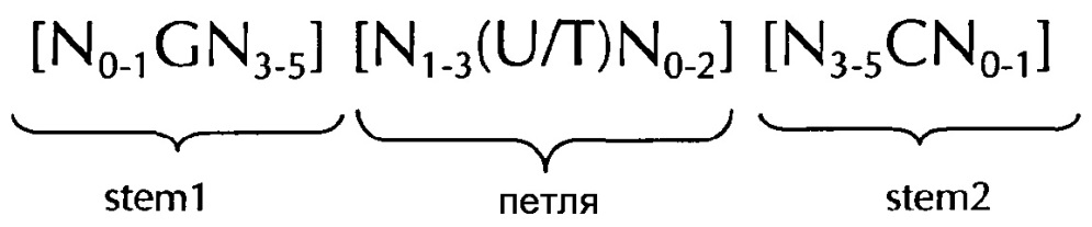 Нуклеиновая кислота, содержащая или кодирующая гистоновую структуру типа"стебель-петля" и поли(а)-последовательность или сигнал полиаденилирования, для увеличения экспрессии кодируемого опухолевого антигена (патент 2650795)