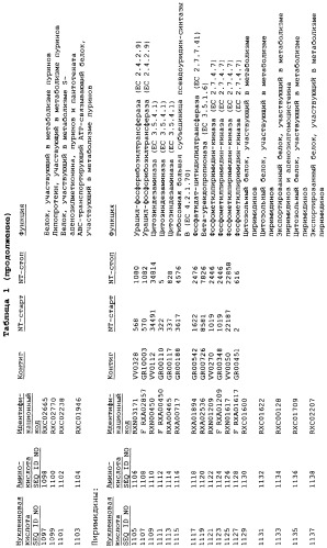 Гены corynebacterium glutamicum, кодирующие белки метаболических путей (патент 2306339)