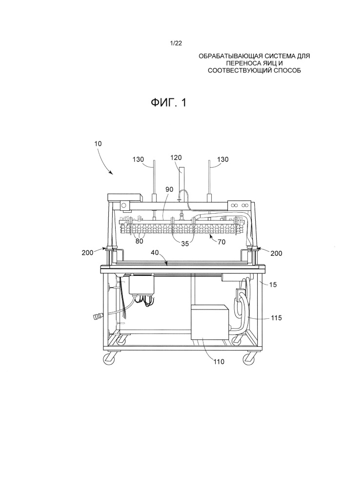 Обрабатывающая система для переноса яиц и соответствующий способ (патент 2622669)