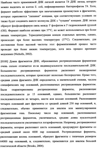 Иммуногенная композиция и способ разработки вакцины, основанной на участках связывания фактора н (патент 2364413)