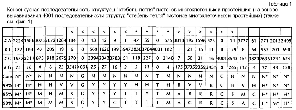 Нуклеиновая кислота, содержащая или кодирующая структуру "стебель-петля" гистонов и последовательность поли(а) или сигнал полиаденилирования, для повышения экспрессии кодируемого терапевтического белка (патент 2634391)