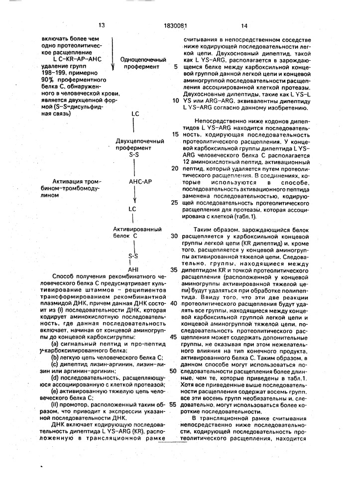 Способ получения рекомбинантного активированного белка с человека (патент 1830081)