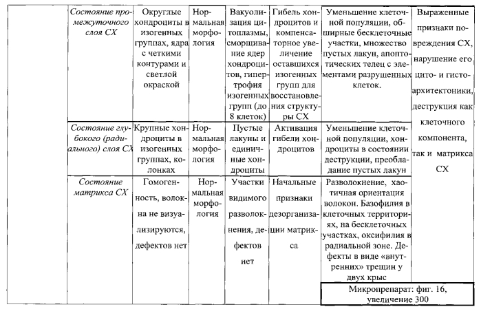 Способ моделирования остеоартроза (патент 2587039)