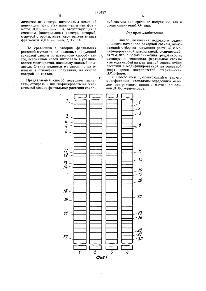 Способ получения исходного селекционного материала сахарной свеклы (патент 1464971)