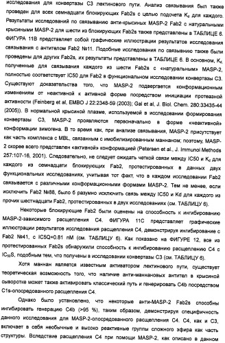 Способ лечения заболеваний, связанных с masp-2-зависимой активацией комплемента (варианты) (патент 2484097)