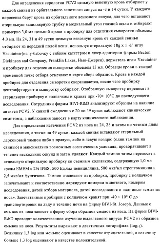 Поливалентные иммуногенные композиции pcv2 и способы получения таких композиций (патент 2488407)