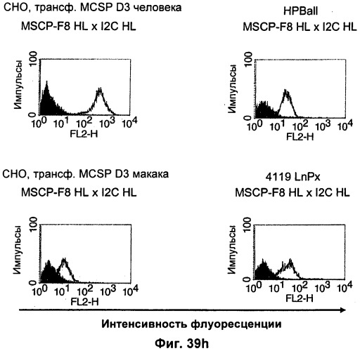 Pscaxcd3, cd19xcd3, c-metxcd3, эндосиалинxcd3, epcamxcd3, igf-1rxcd3 или fap-альфаxcd3 биспецифическое одноцепочечное антитело с межвидовой специфичностью (патент 2547600)